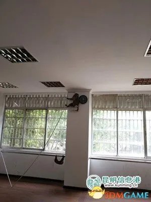 昆明最后1只动物园外逃猴落网 “逍遥”2个月变胖