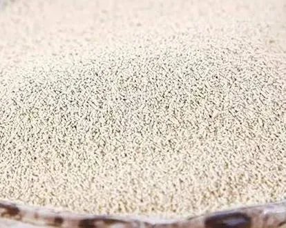 血液垃圾的天敌!中年以后一定要记得吃!（图文介绍）