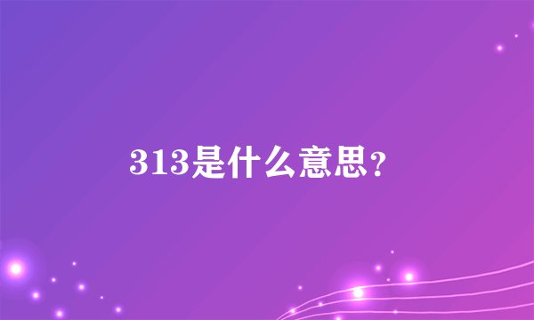 313是什么意思？