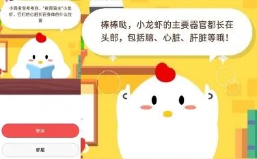 夜宵霸主小龙虾它们的心脏长在身体的什么位置