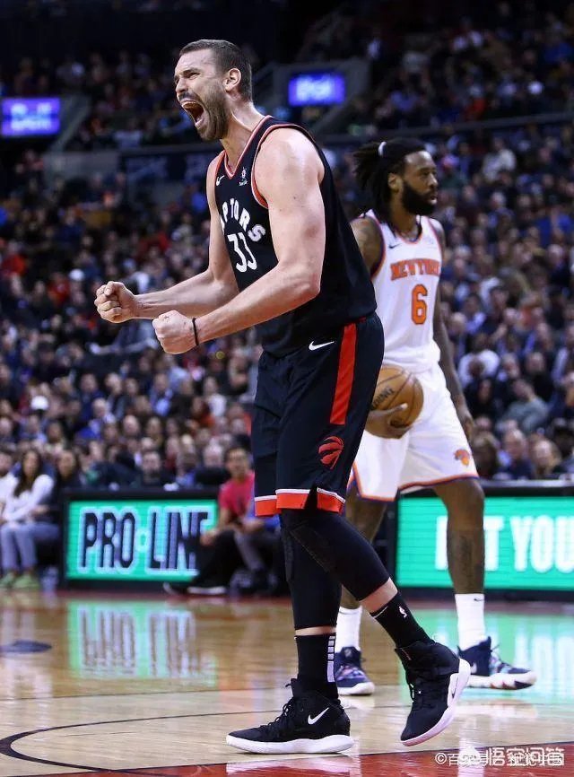 NBA东部决赛你觉得是猛龙赢，还是雄鹿？