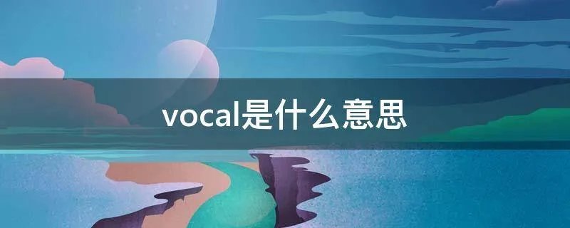 vocal是什么意思