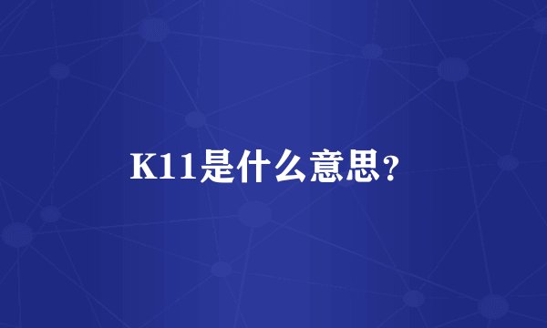 K11是什么意思?