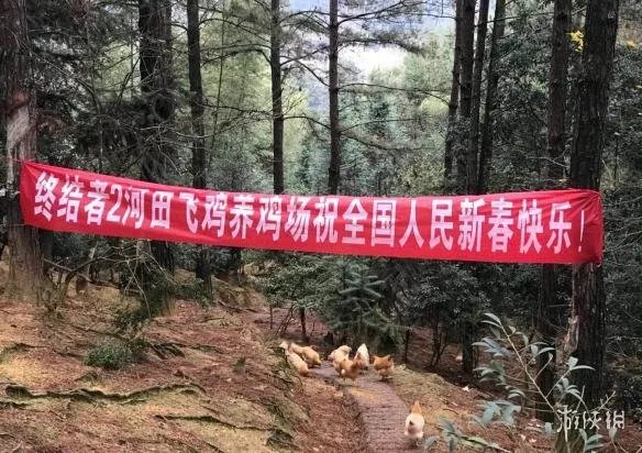 在《绝地求生》里吃鸡还不够？网曝网易成立养鸡场