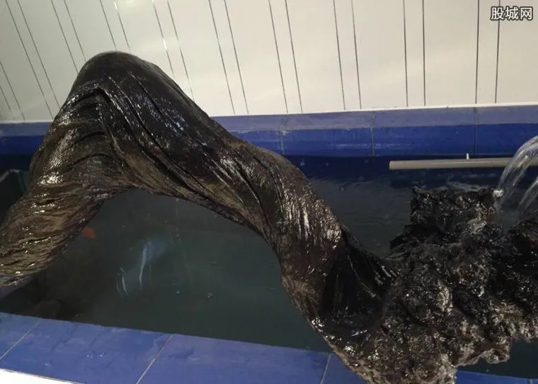 男子发现明代沉木 沉木十分名贵价值2000万