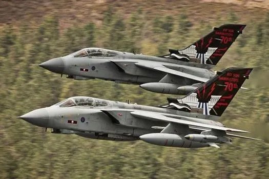 英国战机吓坏动物