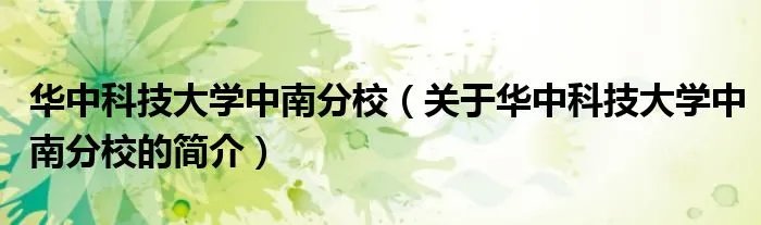 华中科技大学中南分校（关于华中科技大学中南分校的简介）