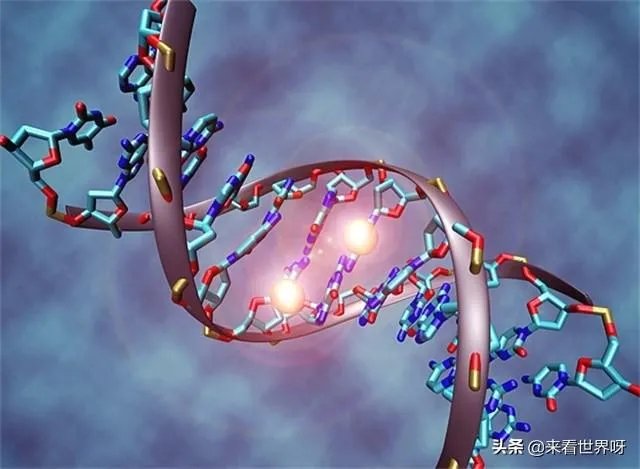 有人说:人类自然寿命是38岁,过了30就是老年人,你怎么看?