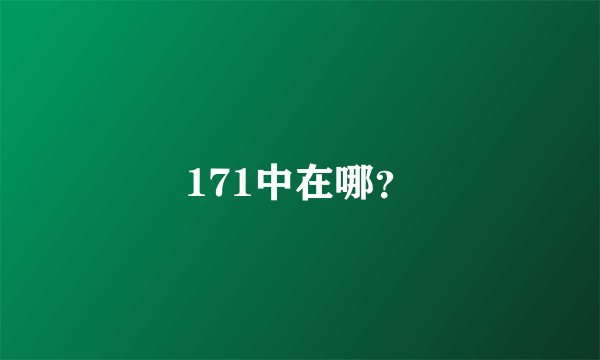 171中在哪？