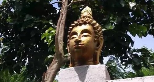 用佛头建别墅被举报原因曝光   两周后将毫不留情强制拆除