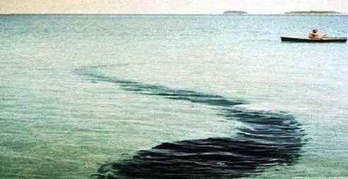 网上疯传的诡异照片!竟然无解（诡异照片图集）