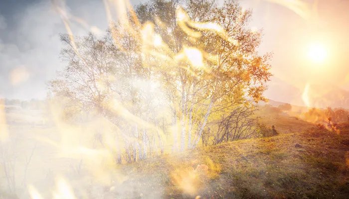 火灾有哪些分类 火灾分类大全