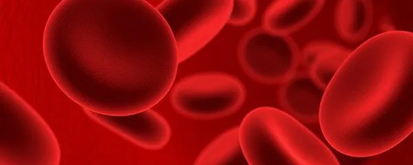 平均红细胞体积是多少