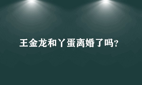 王金龙和丫蛋离婚了吗？