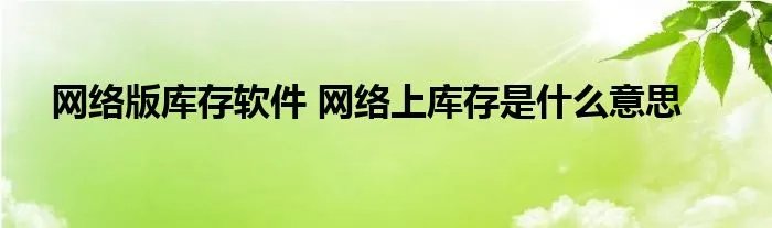 网络版库存软件 网络上库存是什么意思