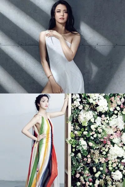 姚晨自曝已怀二胎 拍美照登封面性感十足