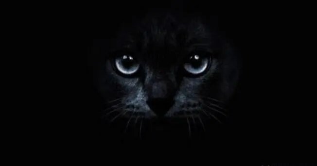 监控看见真鬼现身怎么回事 人们心中的鬼是从哪里来的呢