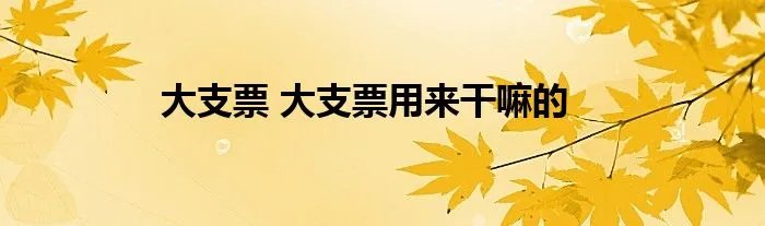 大支票 大支票用来干嘛的