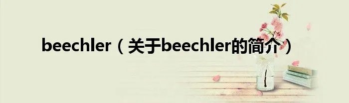 beechler（关于beechler的简介）
