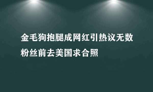 金毛狗抱腿成网红引热议无数粉丝前去美国求合照