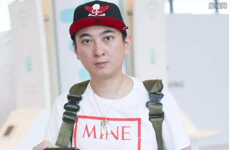 林宁18家公司注销 怎么会那么突然全部注销了