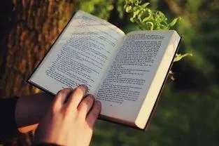 6月海外考试取消