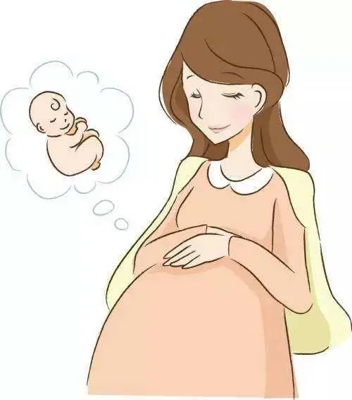 广东孕妇夜班打瞌睡被开除公司被判赔4.8万，判赔的依据是什么？