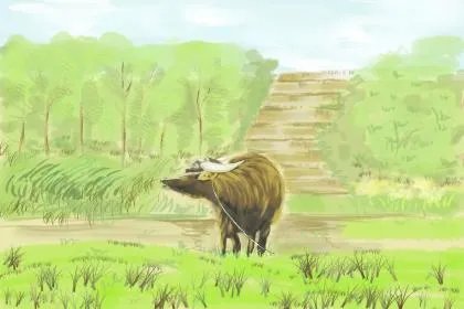 2016年立春具体时间