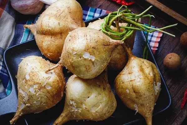 白地瓜的功效与作用