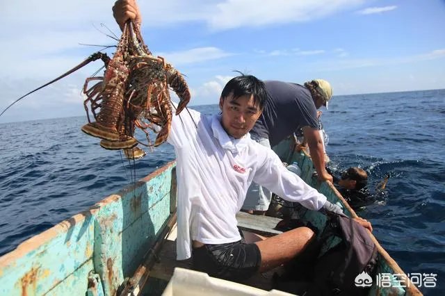 除了《游钓中国》，你还喜欢什么钓鱼类视频？