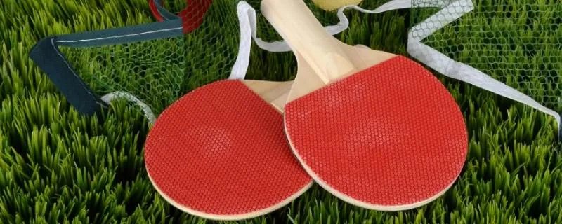 世乒赛是什么意思