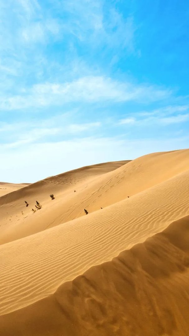 为什么有的人喜欢假装不努力？励志图片？