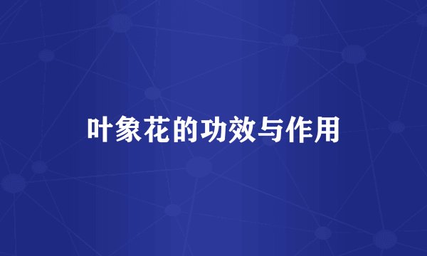 叶象花的功效与作用