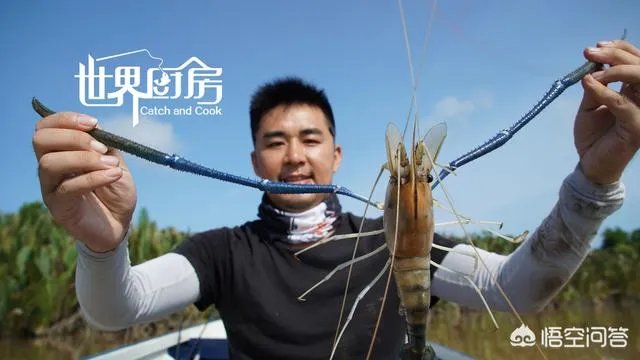 除了《游钓中国》，你还喜欢什么钓鱼类视频？