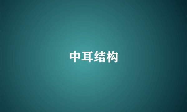中耳结构