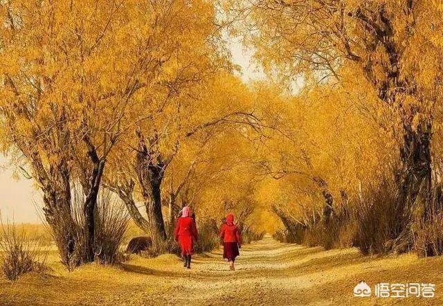 大西北有哪些旅游的好地方?