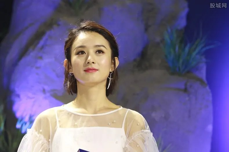 赵丽颖收入过亿 投资14家公司去年收入2.3亿