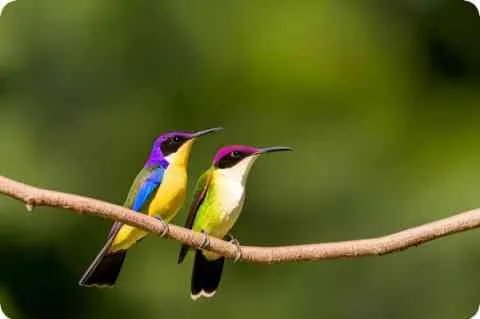 容祖儿否认复合是怎么回事？两人现状如何是什么关系？