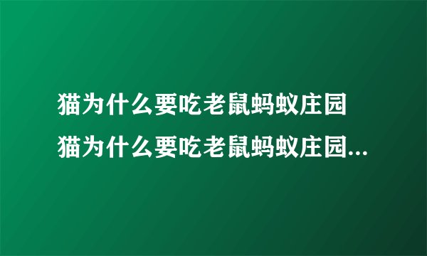 猫为什么要吃老鼠蚂蚁庄园 猫为什么要吃老鼠蚂蚁庄园答案是什么