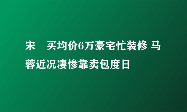 宋喆买均价6万豪宅忙装修 马蓉近况凄惨靠卖包度日