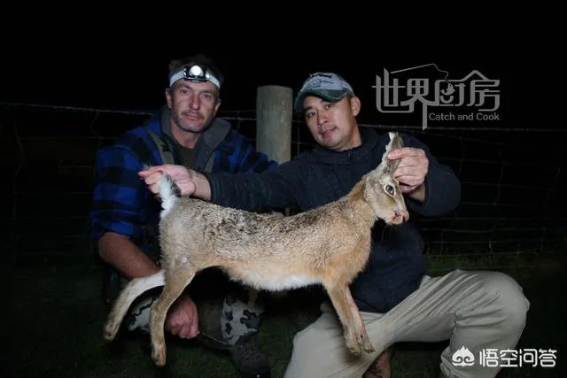 除了《游钓中国》，你还喜欢什么钓鱼类视频？