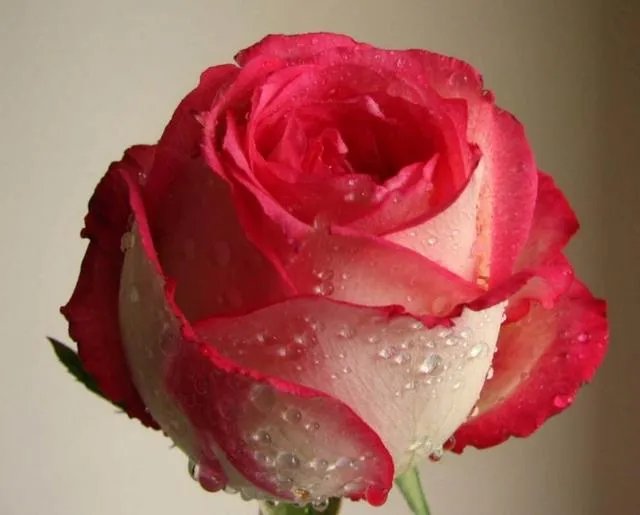 在一起快三个月，你一直不确定他是不是喜欢你，很痛苦，要怎么办才好？