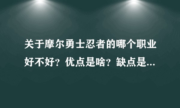 关于摩尔勇士忍者的哪个职业好不好？优点是啥？缺点是啥？哪个职业可以克制这个职业？