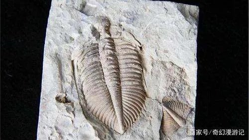 如果没有史前文明，20亿年前出现的核反应堆，该怎么解释？