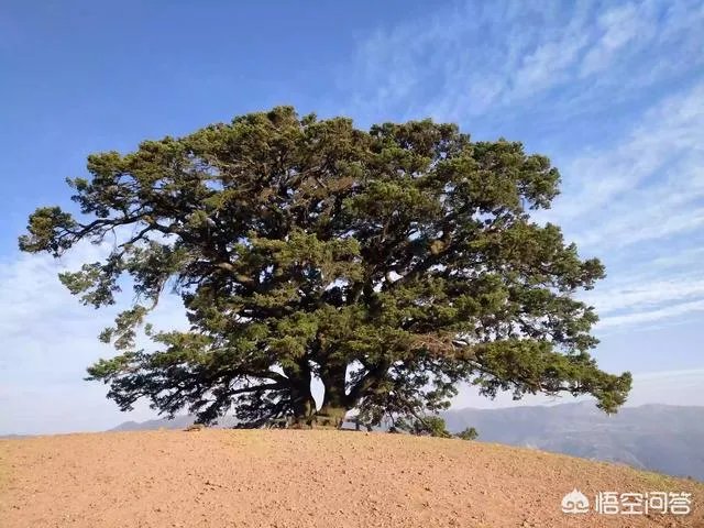 昆明红土地景区怎么样