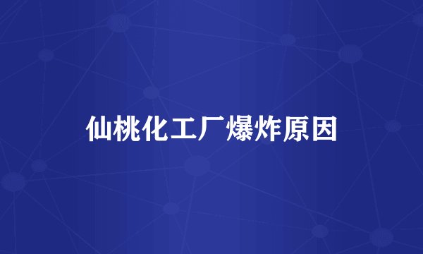 仙桃化工厂爆炸原因