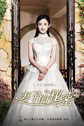 电视剧妻子的秘密共多少集