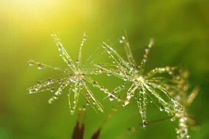 2020年惊蛰前一日可以迁坟吗？迁坟有什么讲究和忌讳？