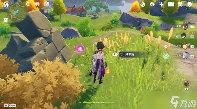 原神福至五彩红色采集物介绍