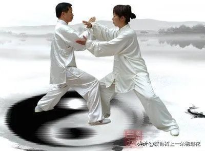 如何评价太极推手？